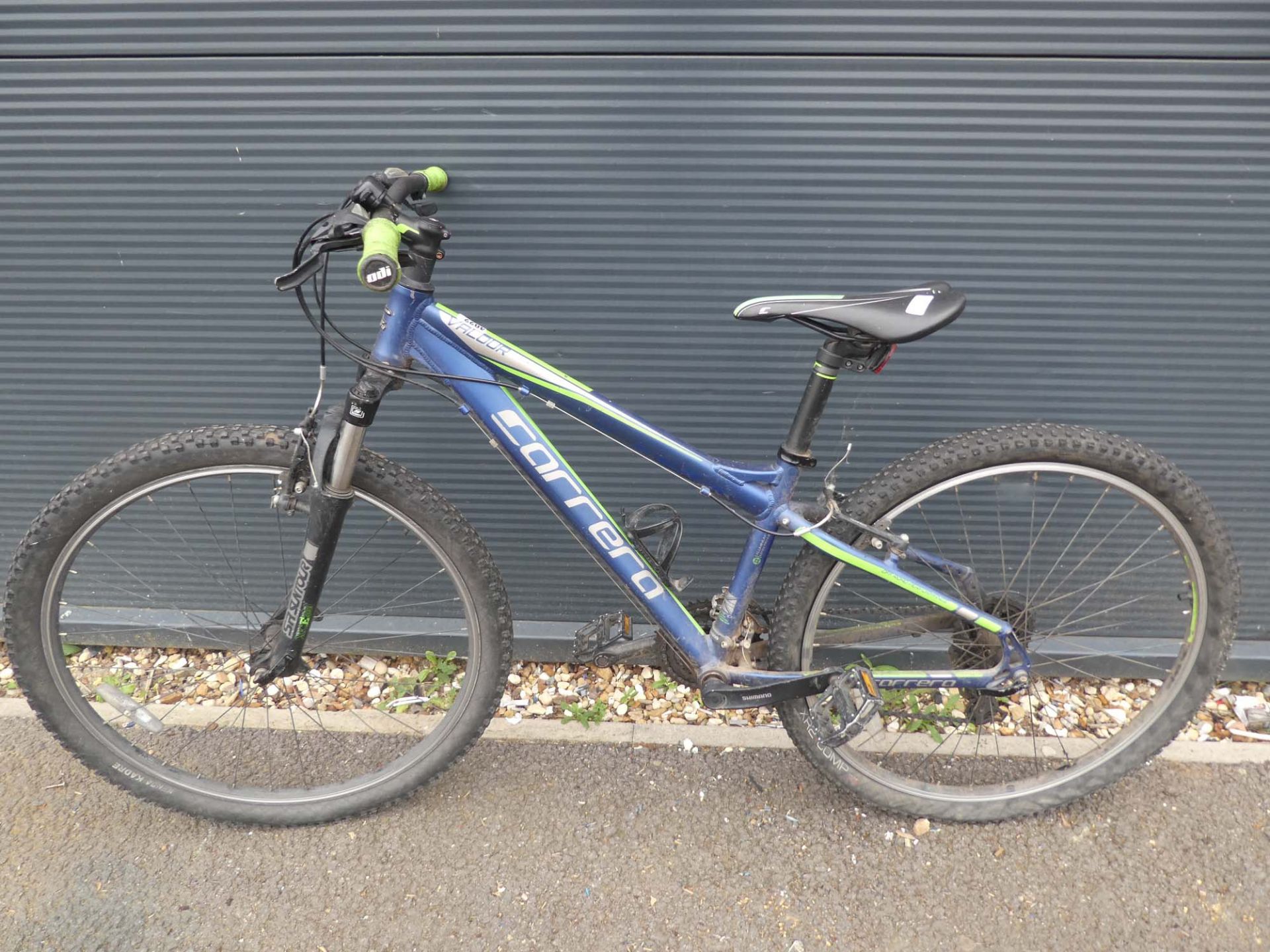 Blue and green childs Carerra bike