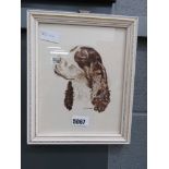 Watercolour of a Spaniel