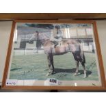 Framed and glazed photograph of Grundy- 1975 winner of the Irish 2000 guinea's