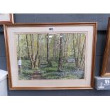 Framed and glazed picture of a forestry scene