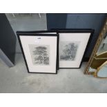 Six assorted black and white etchings of countryside scenes