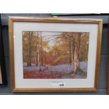 Framed and glazed picture of beech wood in May