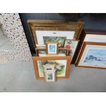 Large quantity of pictures to include flowers, riverside scenes and lions
