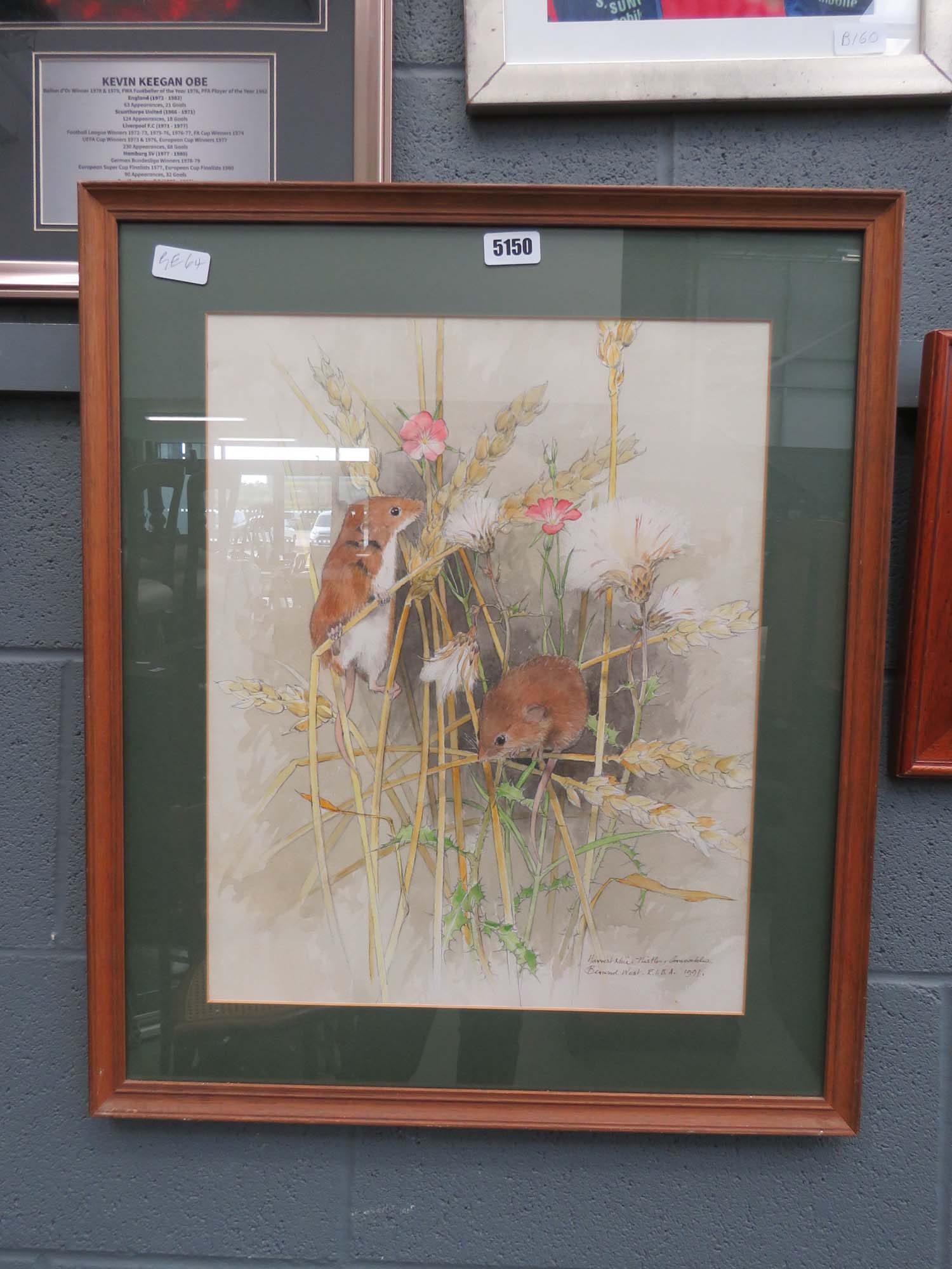Framed and glazed picture of harvest mice