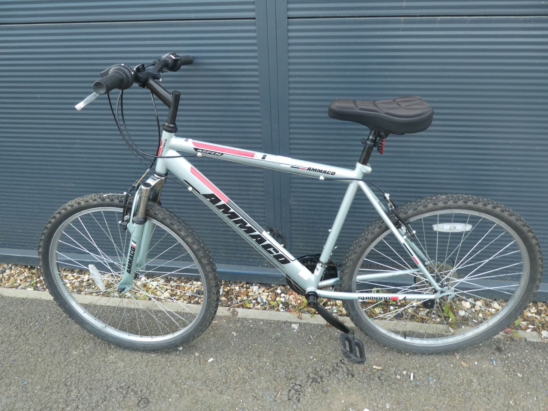 Ammaco mountain bike in silver and red