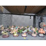 Cage of ornamental bird figurines