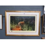 David Shepherd print of tiger entitled Jungle Gentleman