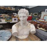 Plaster bust of classical figure