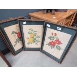 5360 4 framed and glazed botanical prints