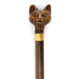 A walking cane,