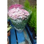 Large pot of pink chrysanthemums