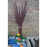 Pot of cordyline and primroses