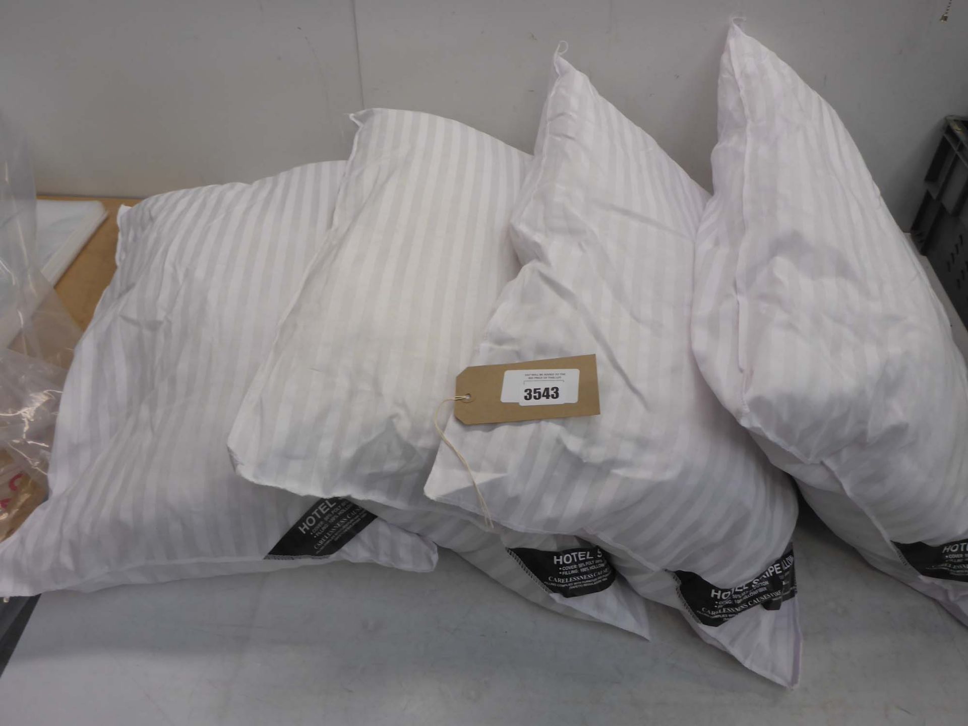 Set of 4 Hotel strip pillows