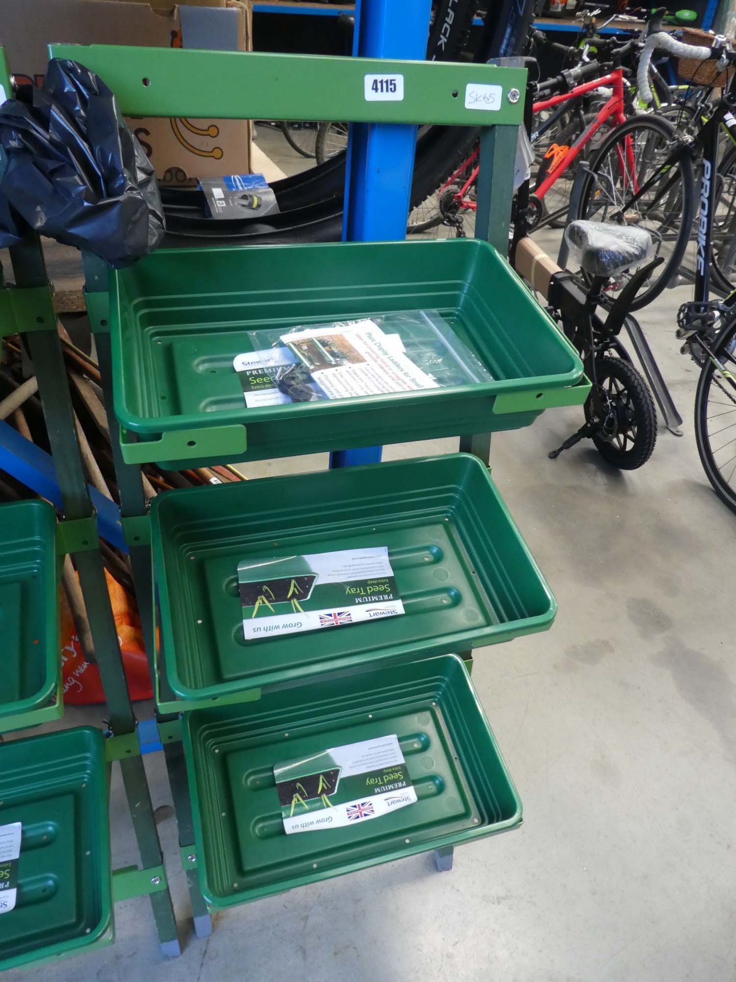 Plant display ladder for seed trays