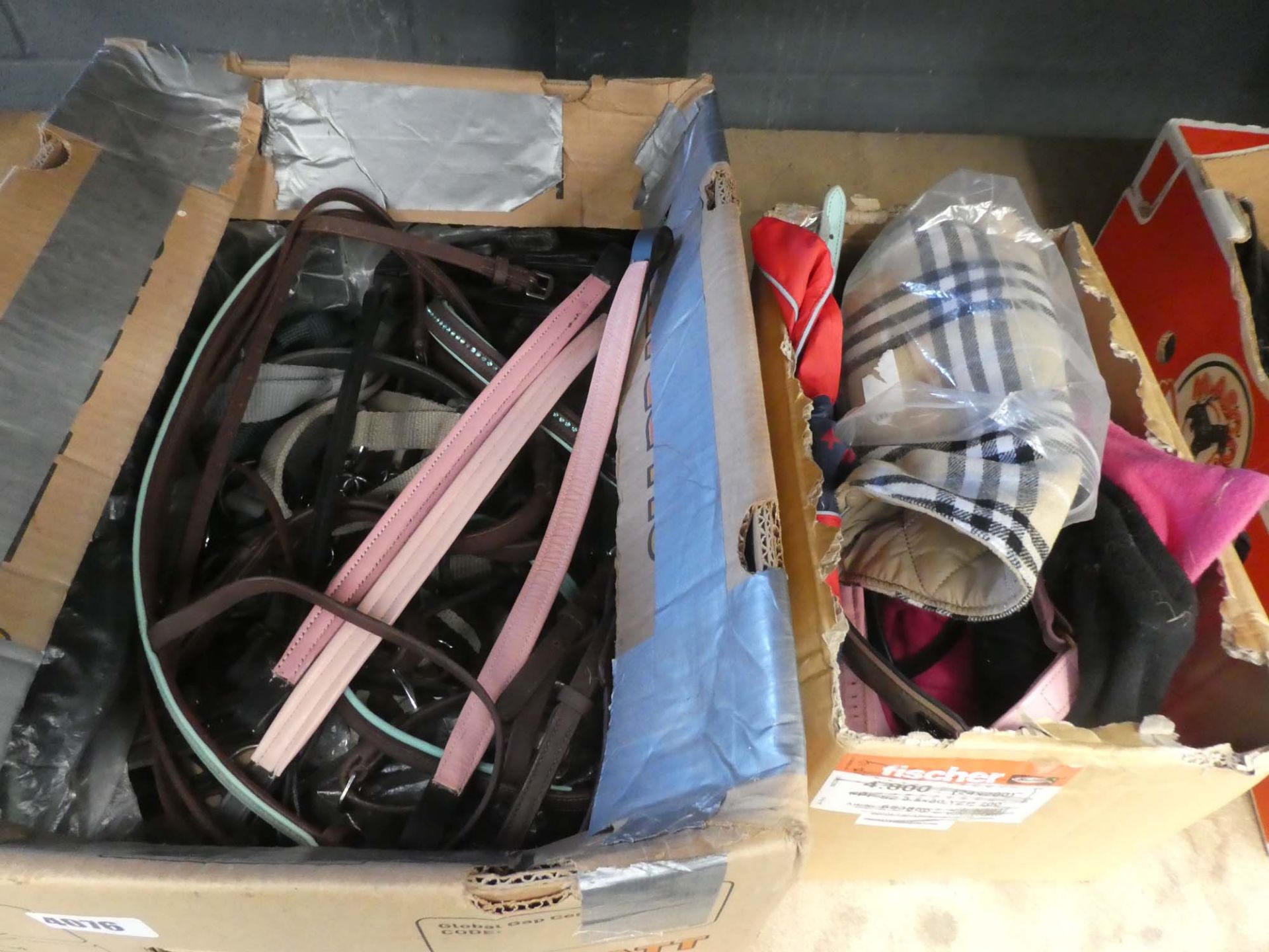 1 box of dog harnesses, horse tack and coats, 1 box of horse tack