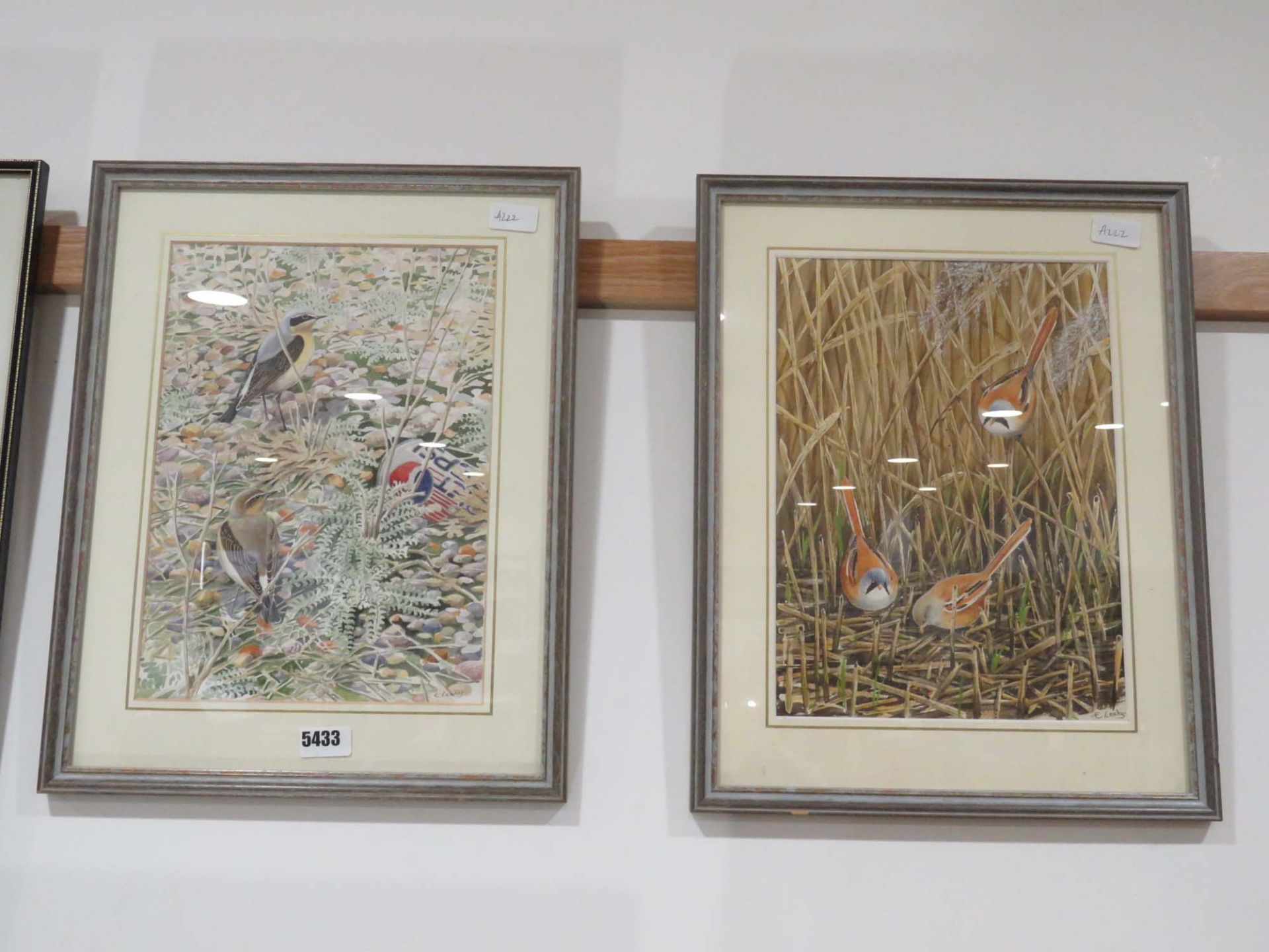 Pair of bird related water colours, signed E. Leahy