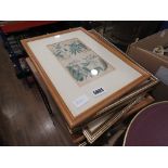Quantity of botanical prints