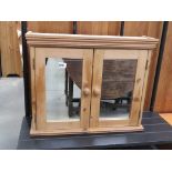 Mirrored pine double door hanging unit