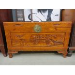 Camphor wood trunk