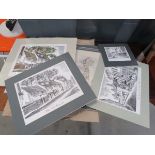 Quantity of loose Hitchin prints