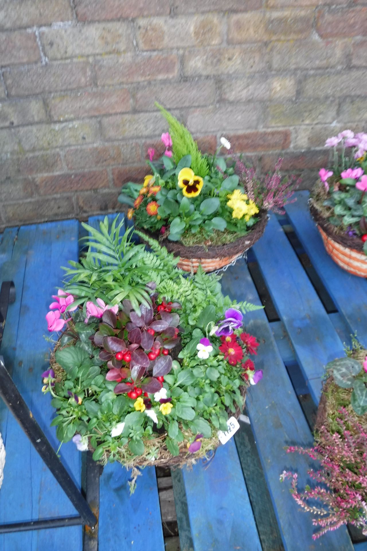 2 pre-planted hanging baskets