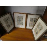 Set of 4 botanical prints