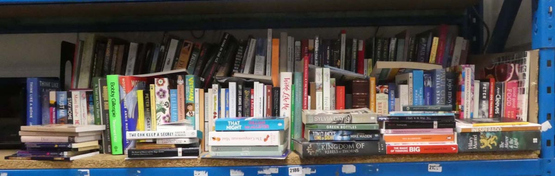 Large shelf comprising of wide selection of paperback and hardback novels and other books