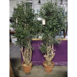 Pair of artificial olive trees