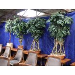 Four large artificial trees