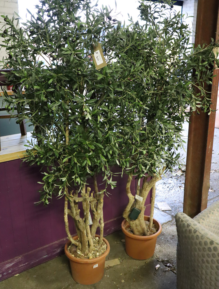 Pair of artificial olive trees