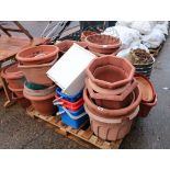 Pallet containing various plastic garden pots