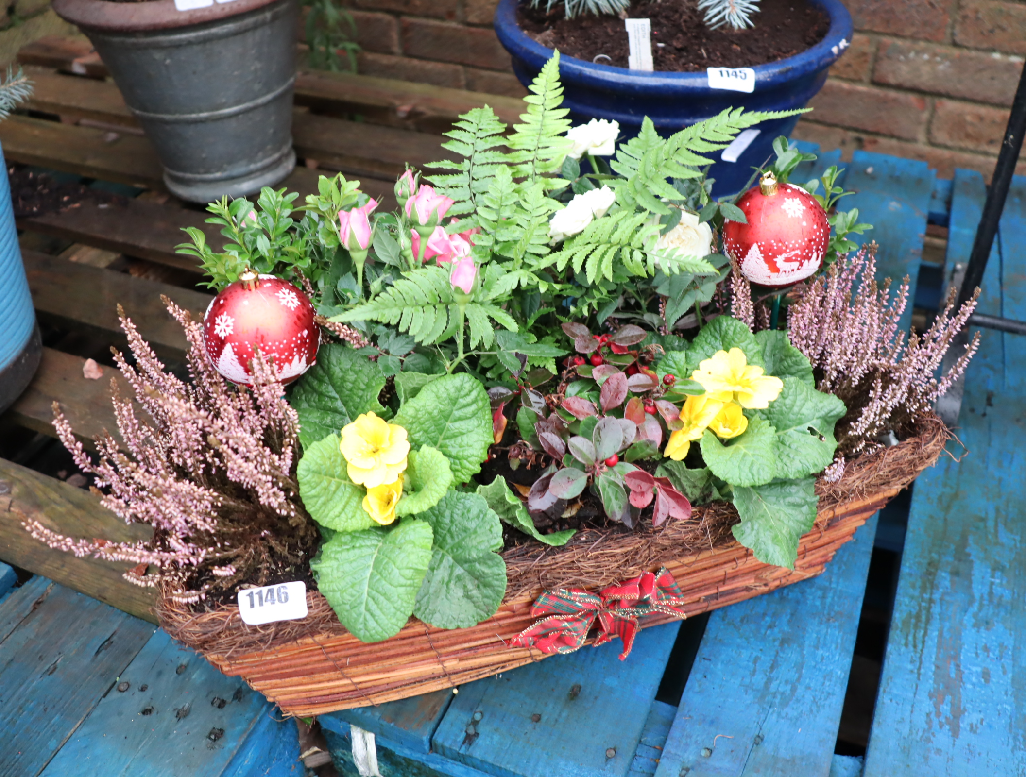 Trough planter containing mixed plants