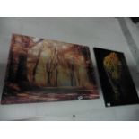 2 pieces of canvas wall art