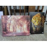 (2125) Pictures of leopard and woodland scene (2)