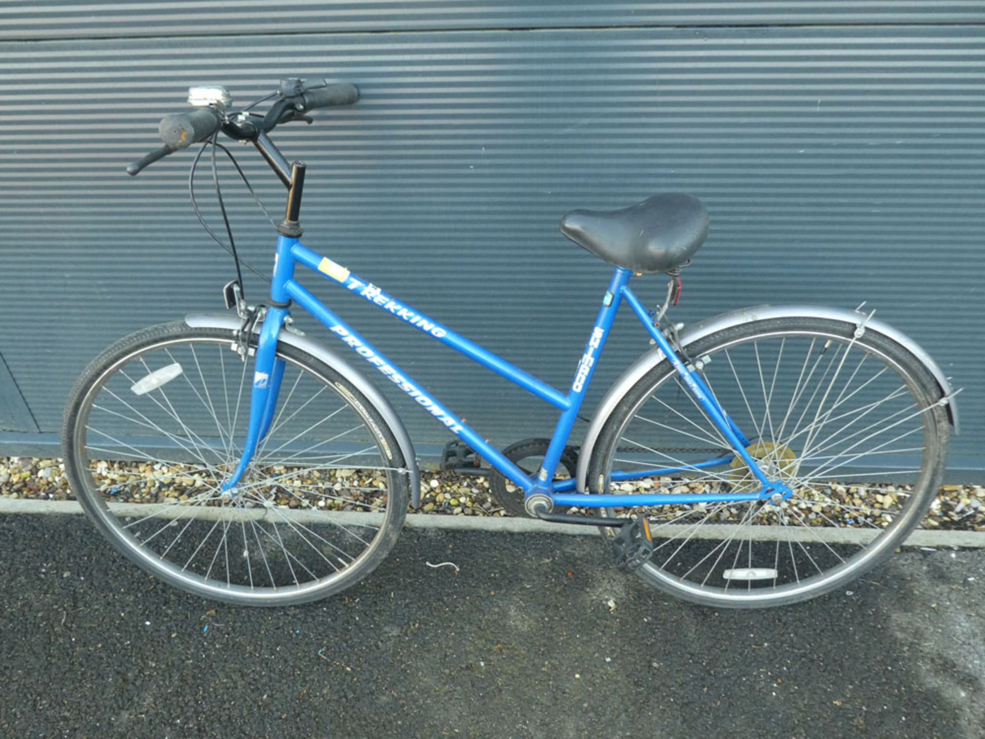 Blue ladies bike