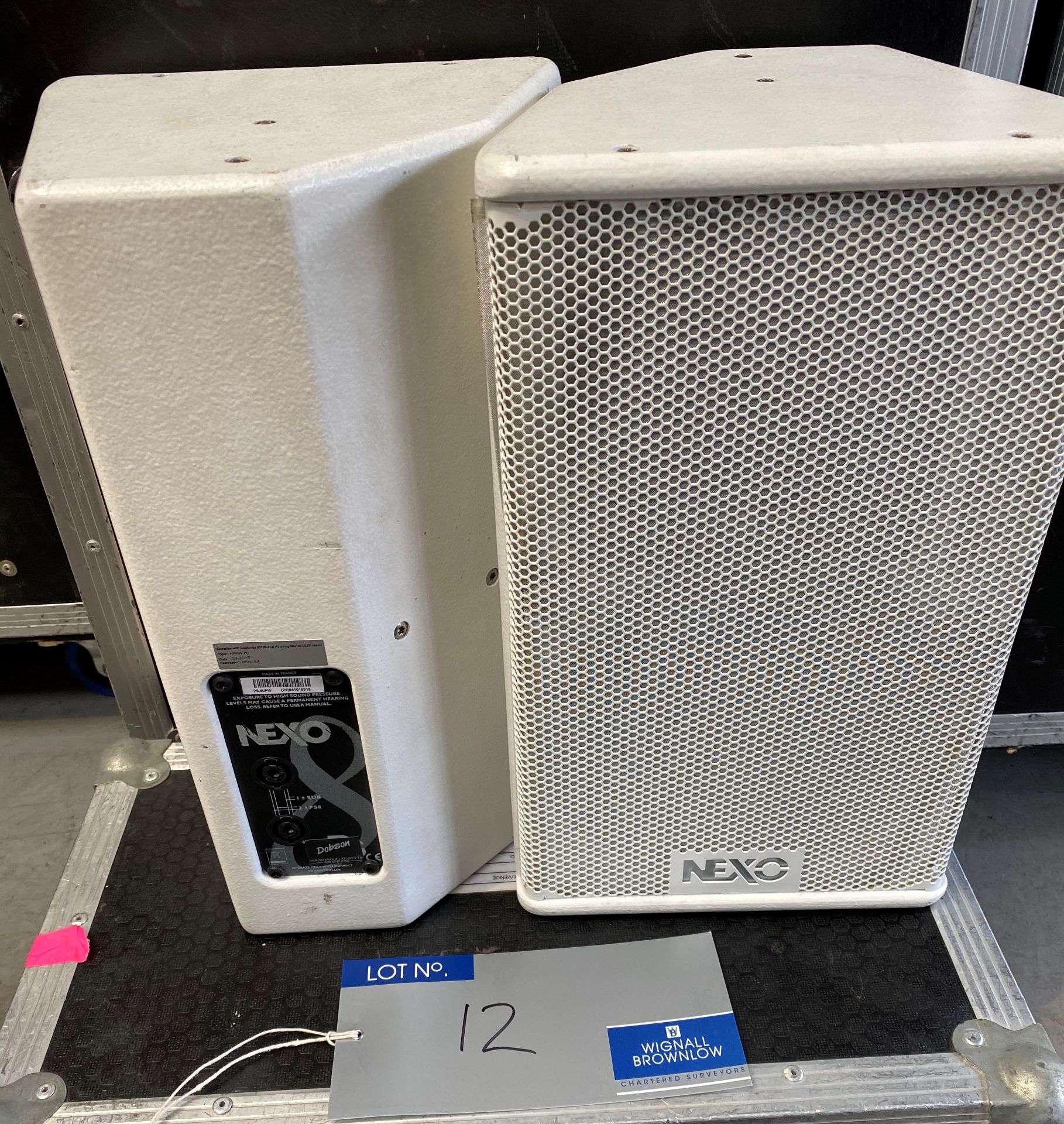 A Pair of NEXO PS8UPW Monitor Speakers in white with pole mount and flight case (in working order).