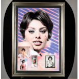 Framed Art Memorabilia Presentation with Original Sofia Loren Signed Photograph