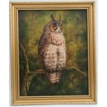 Art Framed Oil on Board Owl Painting. Signed Lockley Lower Right 1981