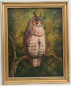 Art Framed Oil on Board Owl Painting. Signed Lockley Lower Right 1981