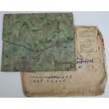 Vintage Snake Skin Pyjama Case in Post WWII Military Envelope.