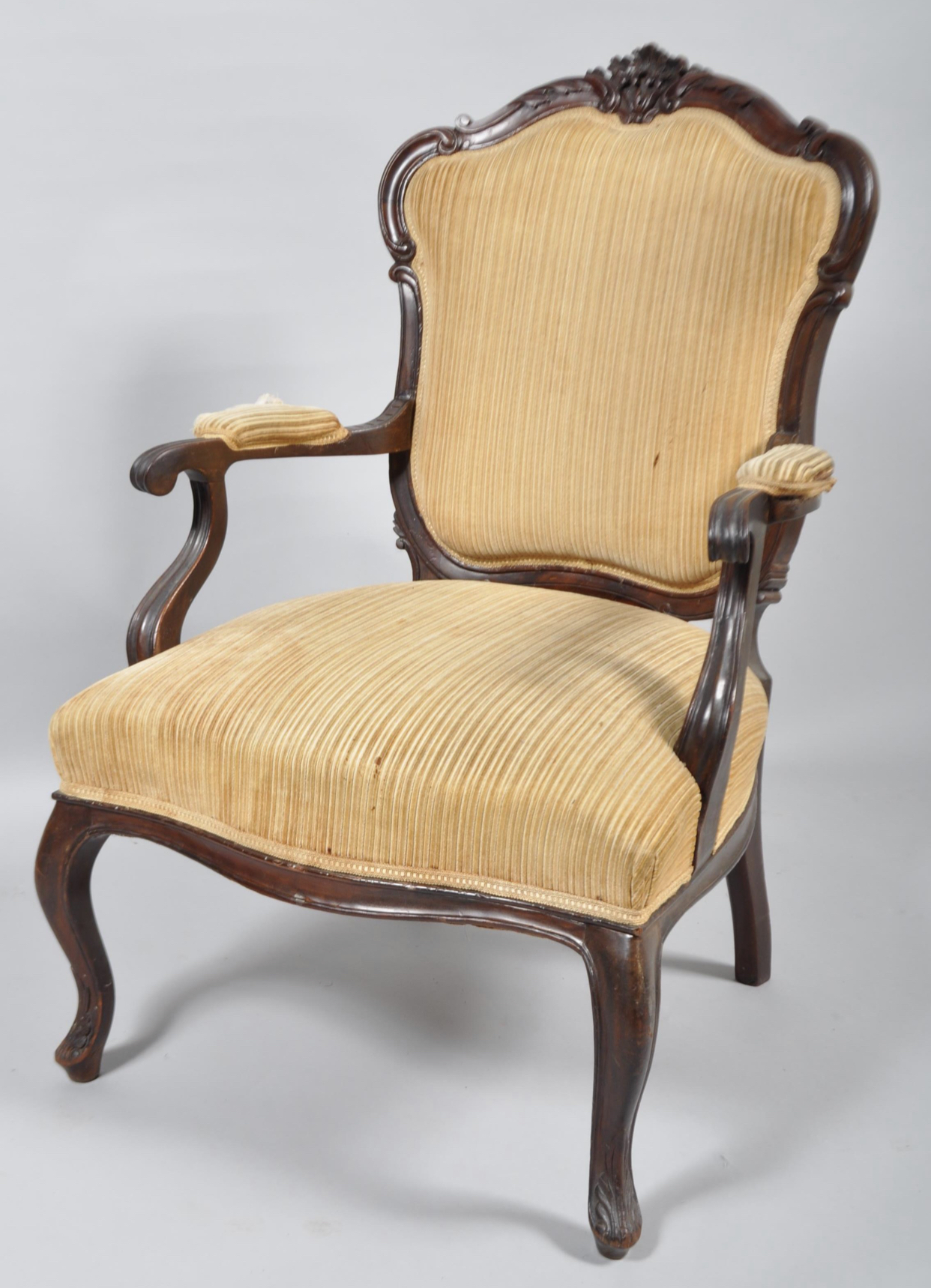 C19th carved show frame chair