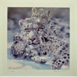 Signed Limited Edition 'Snow Leopards' By Donald Grant