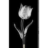 Waterford Glass Fleurology Tulip Flower And Stem