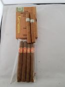 Cuban Cigars