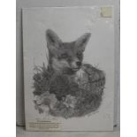 "Fox in the Hedgerow" Print by Steve Machin