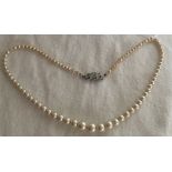 Vintage Lotus pearls necklace in box with pretty clasp