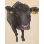 Susan Macallister Pencil signed print Black Cow