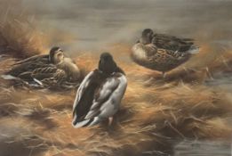 Original signed Pastel by John Naylor depicting mallard Ducks