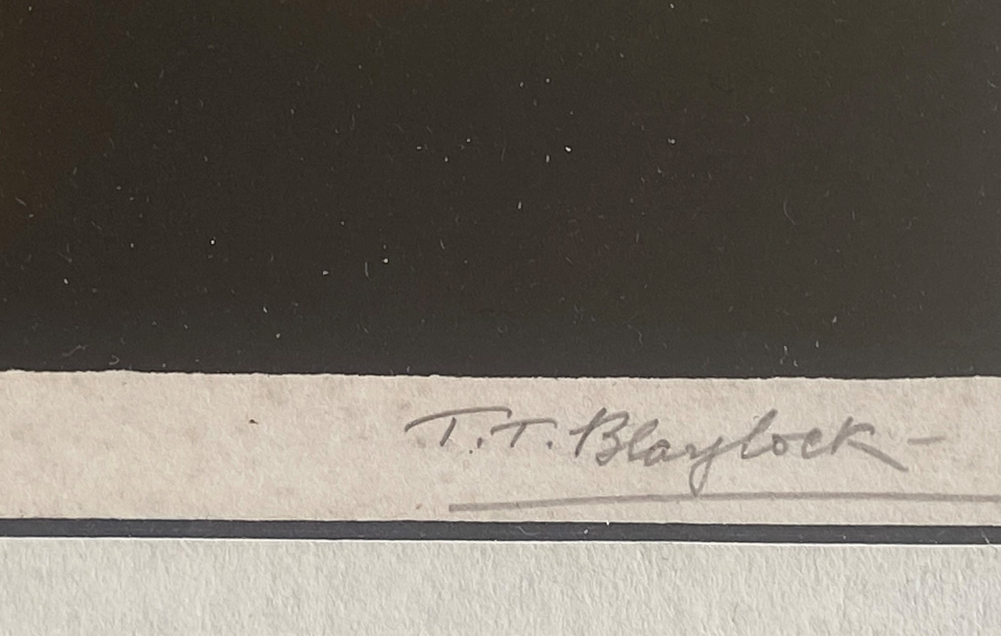 Thomas Todd Blaylock (Scottish) 1876-1929. Signed Woodblock 'Polyanthus' - Image 7 of 9