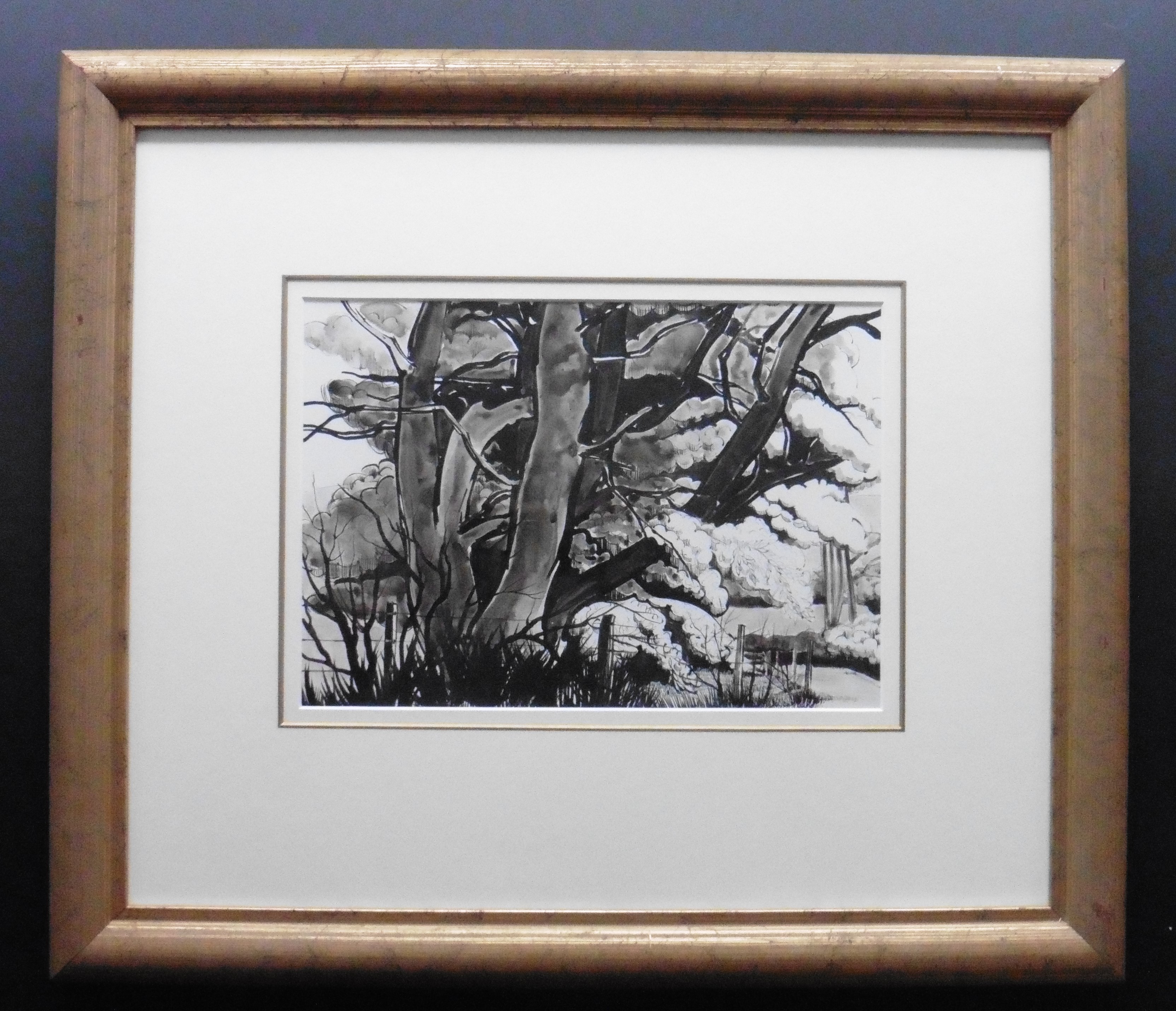 Joyce M Young Scottish Pen and Ink The old Oak - Image 3 of 5